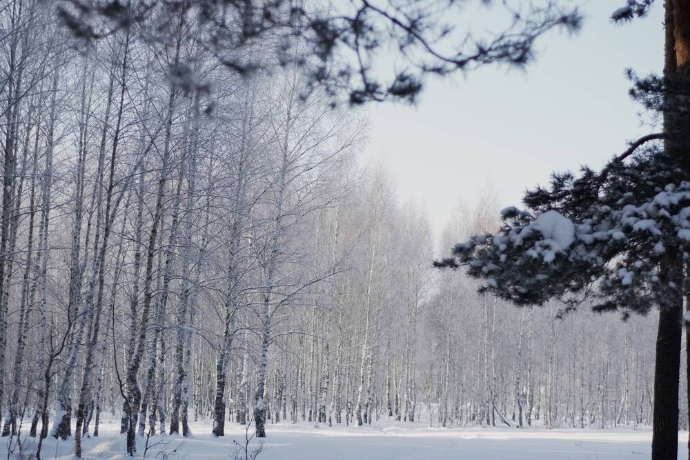 Photograph by Диана Янковская