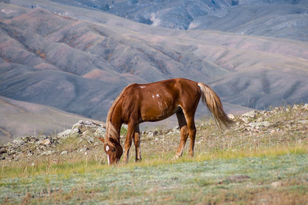 Photograph by Альберт Куулар