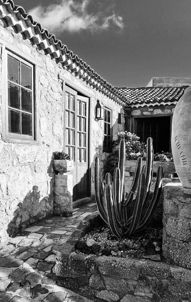 Photograph by Weinstein Isabela