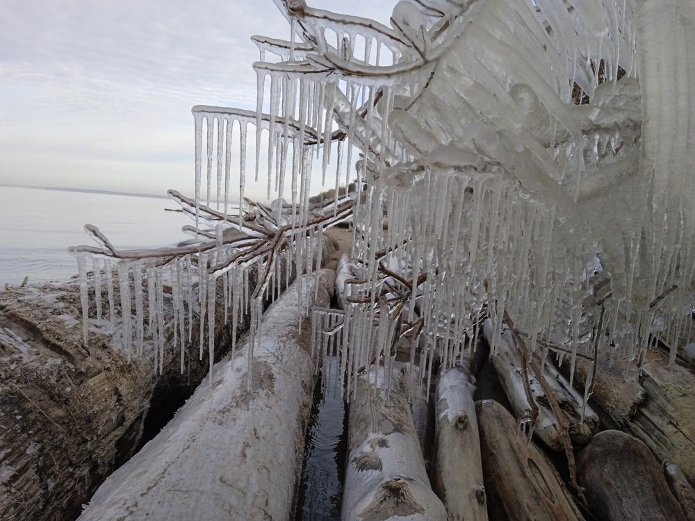 Photo #13069554