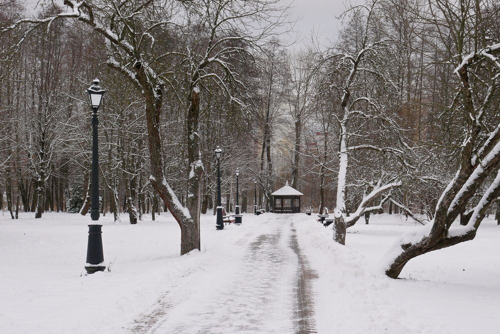 Photograph by Владимир Лобанов