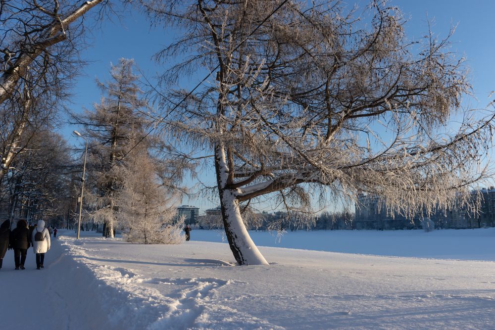 Фотография автора Борис Генкин