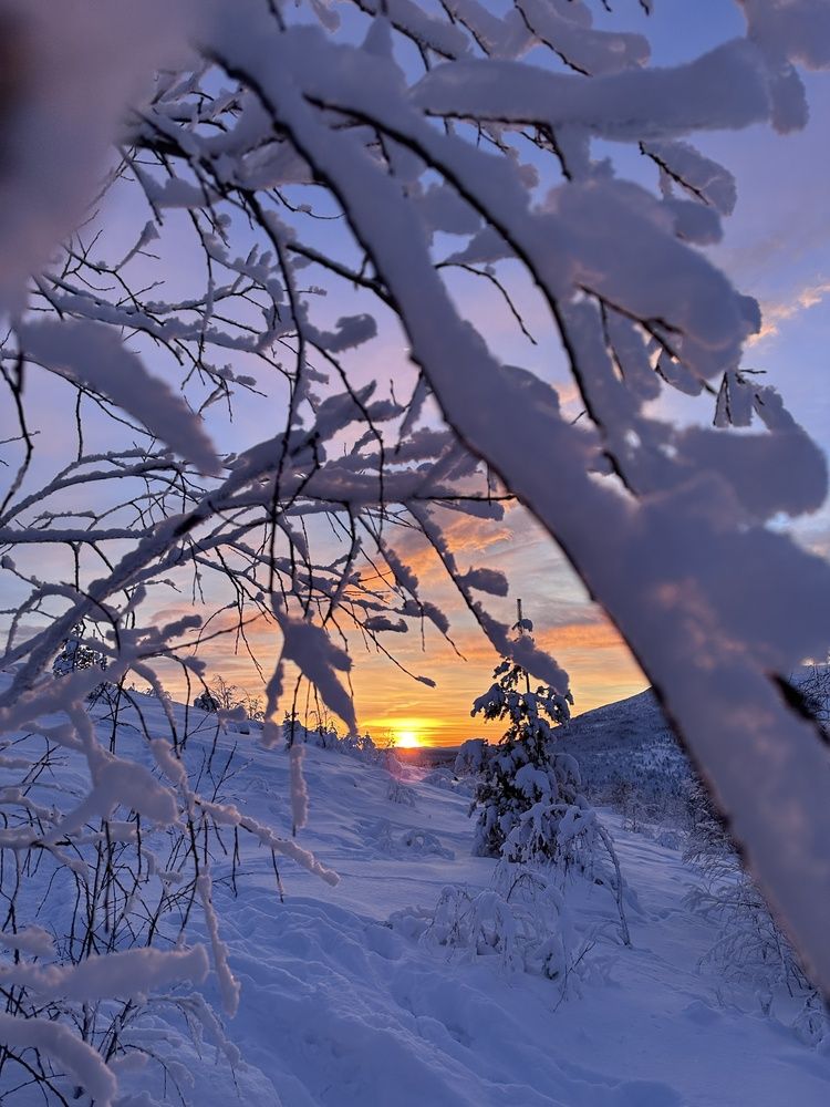 Фотография автора Заломаева Надежда