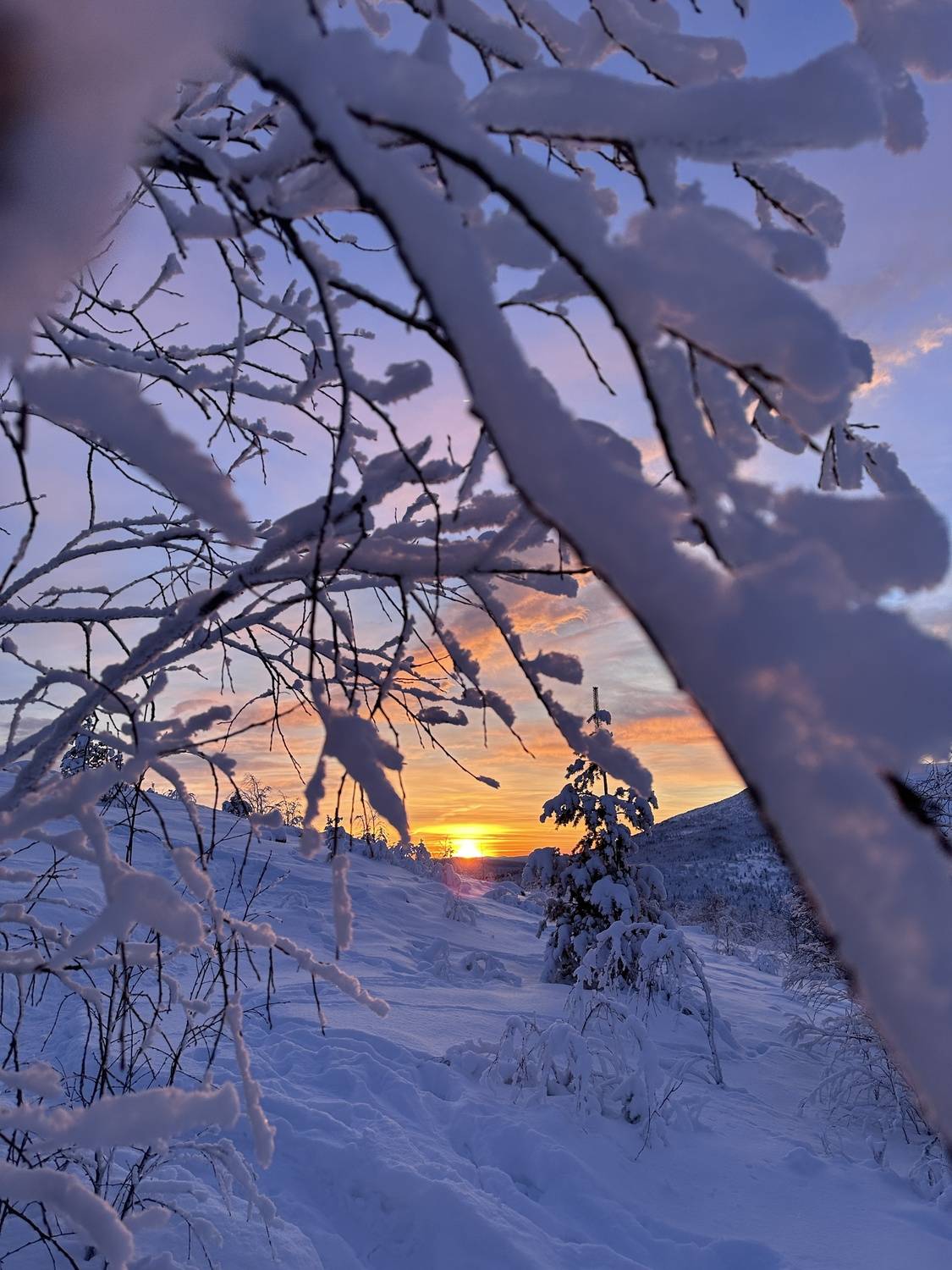 Фотография #13069595