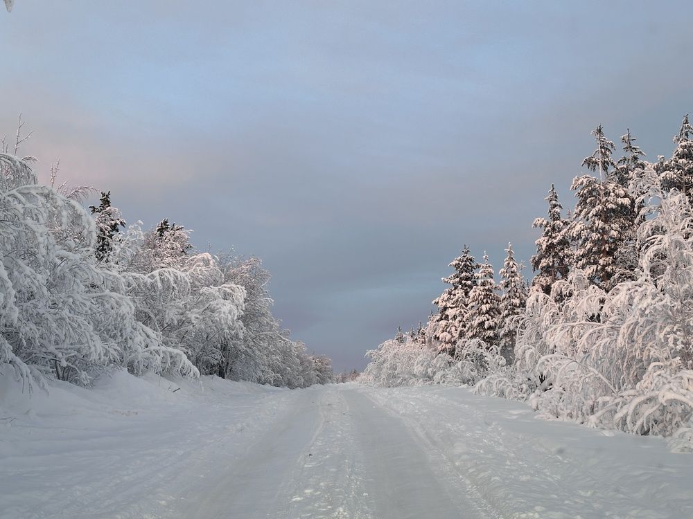 Фотография автора Заломаева Надежда