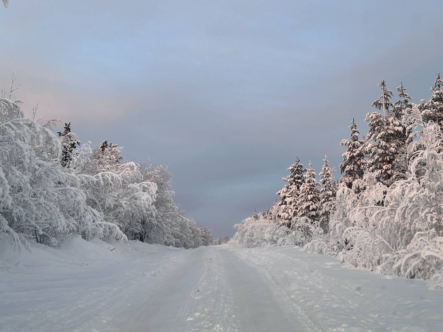 Фотография #13069597