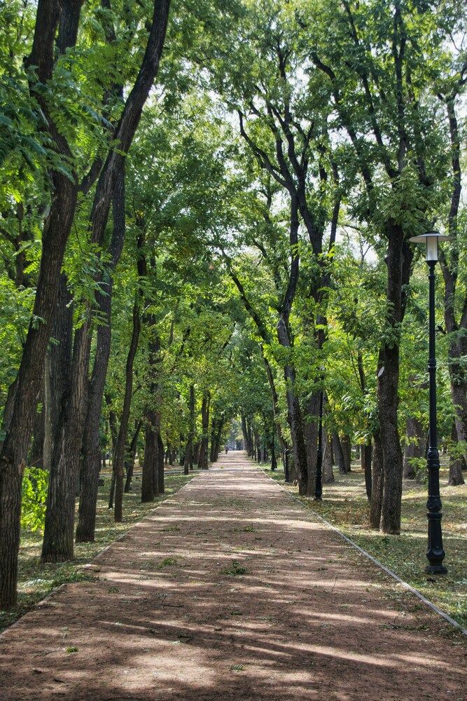 Фотография автора Eletskikh Georgii