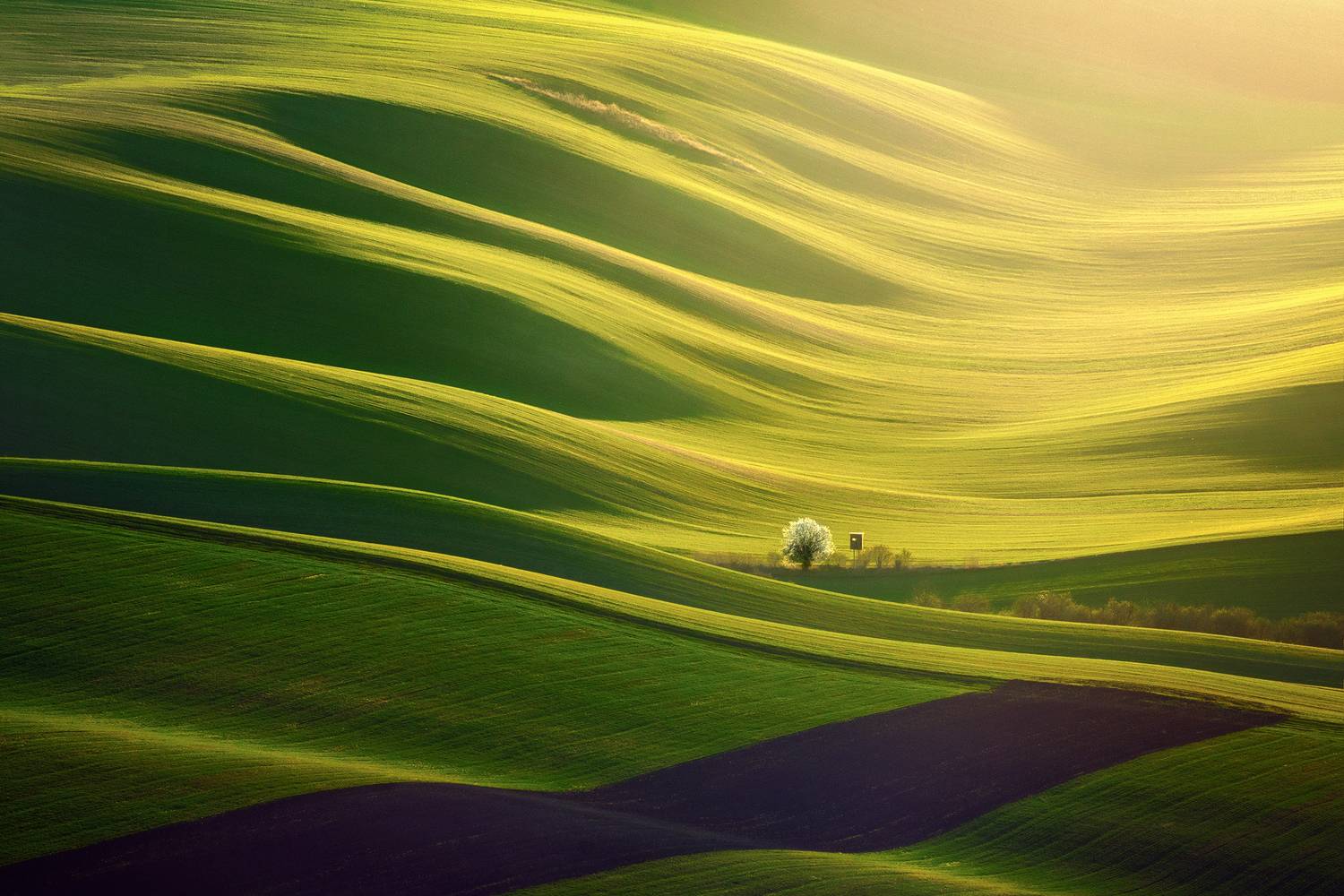 Minimalism in the waves of Moravia