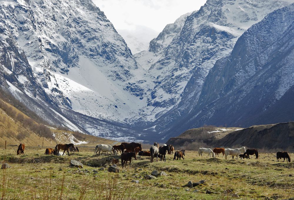 Фотография автора Светлана Зимина