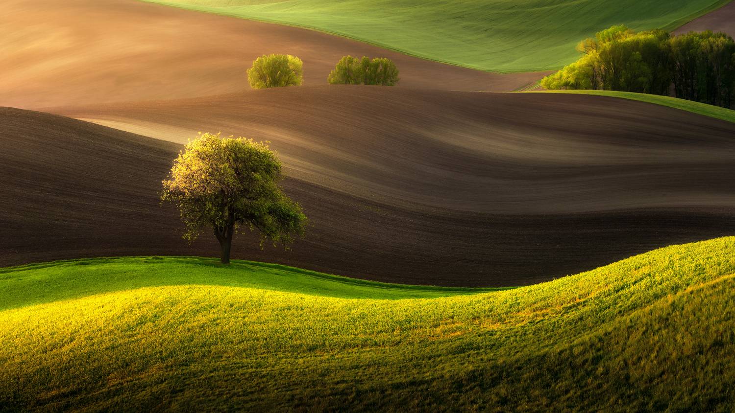 Somewhere in the field