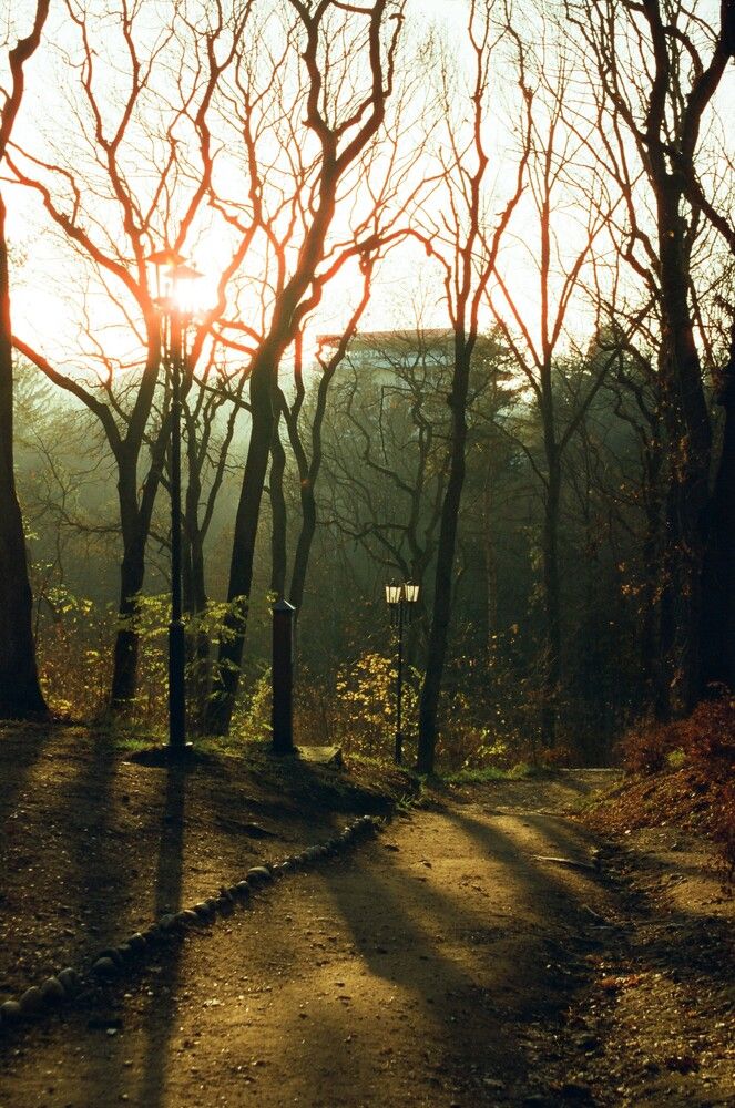 Photograph by Василий Селиванов