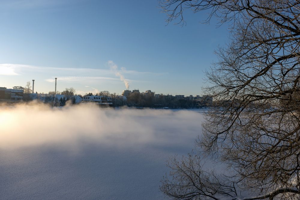 Зимний туман