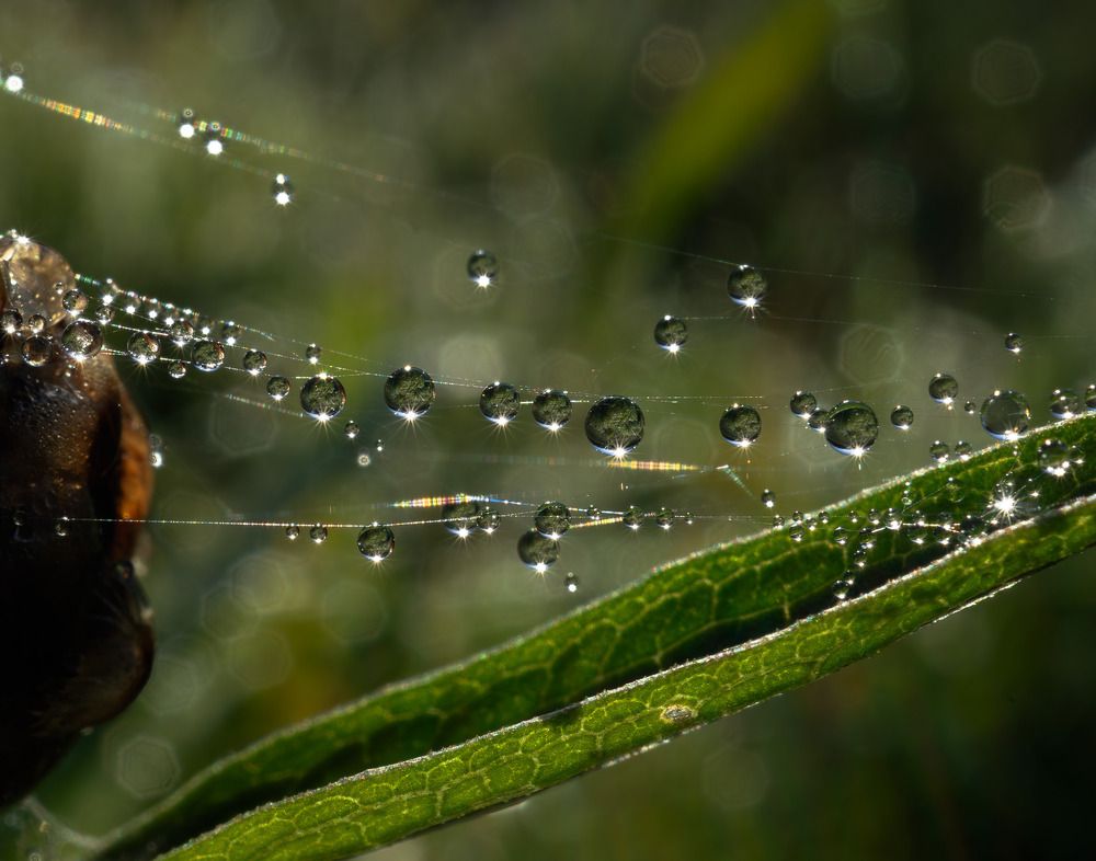 Photograph by Елена Харитонова