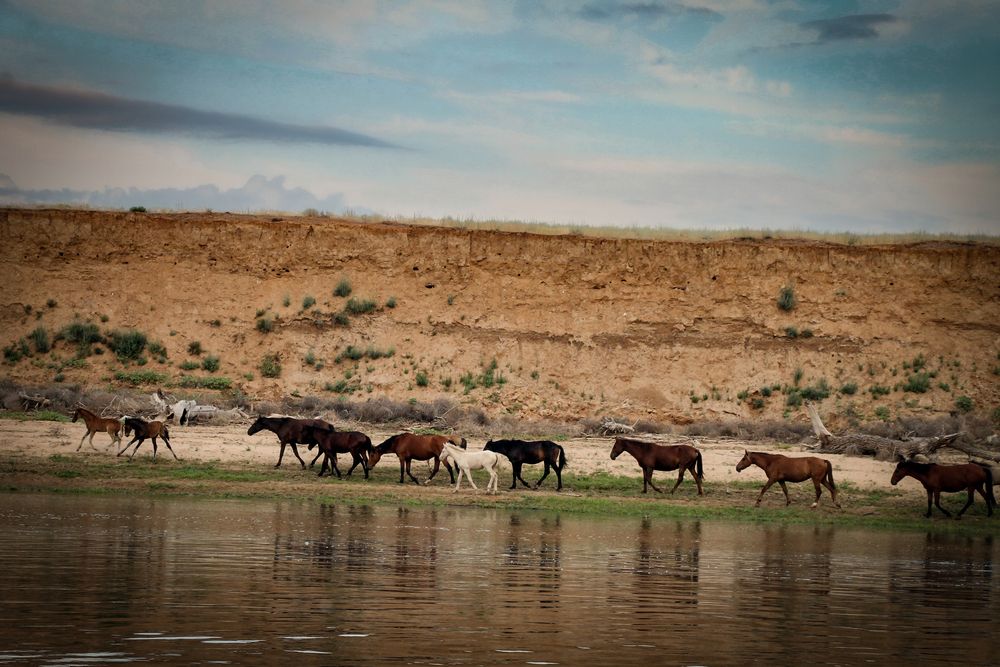 Photograph by Олег Филиппов