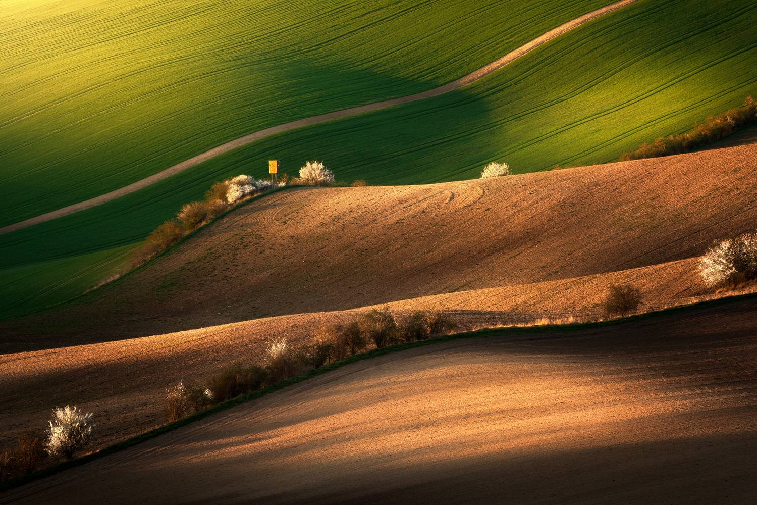 Sunset in South Moravia