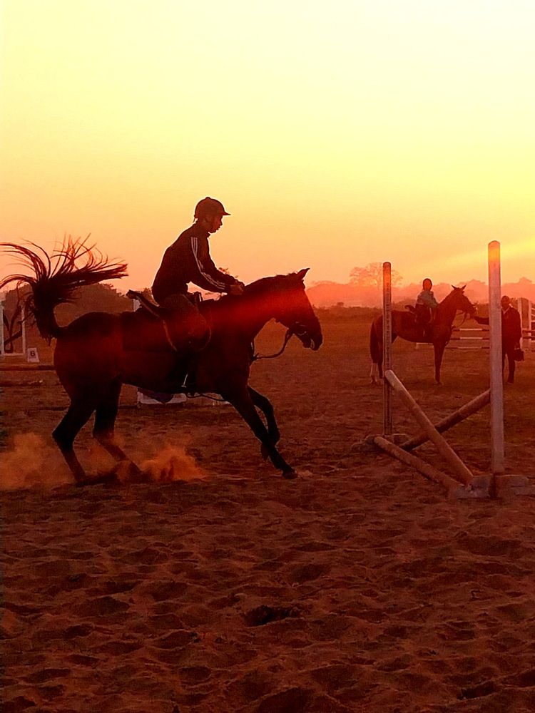 Photograph by Rahul Raman