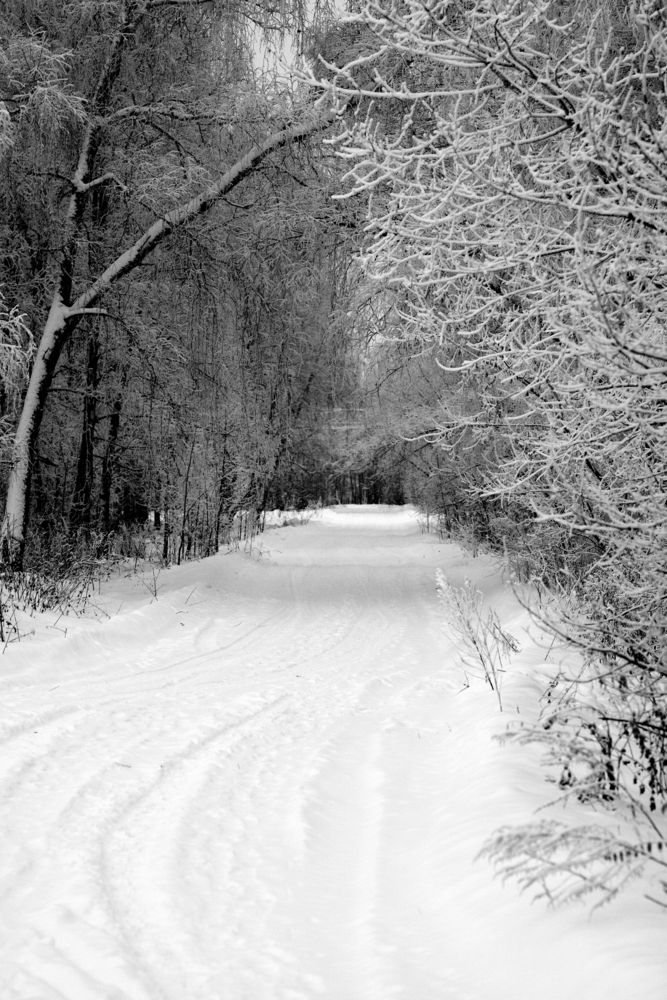 Photograph by BorzIN