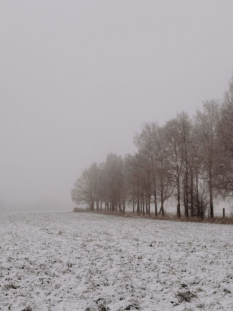 Фотография автора Елена Михалева