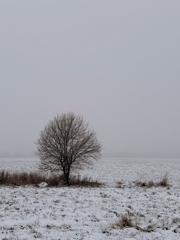 Фотография автора Елена Михалева