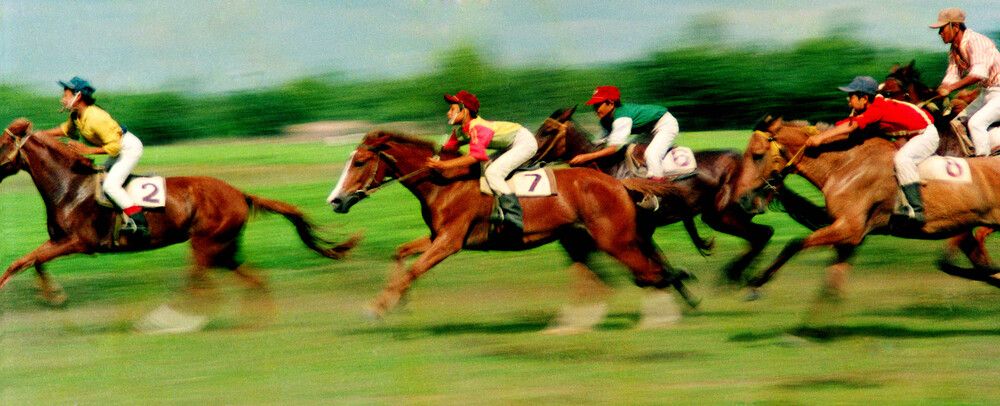 Horse racing