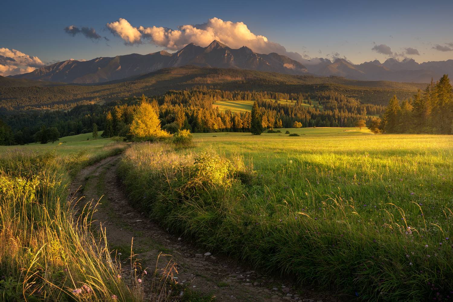 On the way to the Tatras