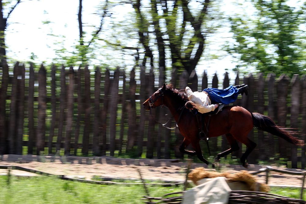 Фотография автора Александр Стрельченко