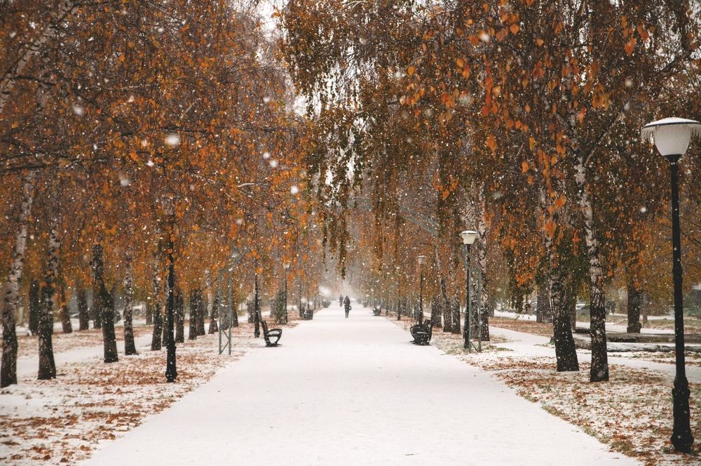 Фотография автора Andrey