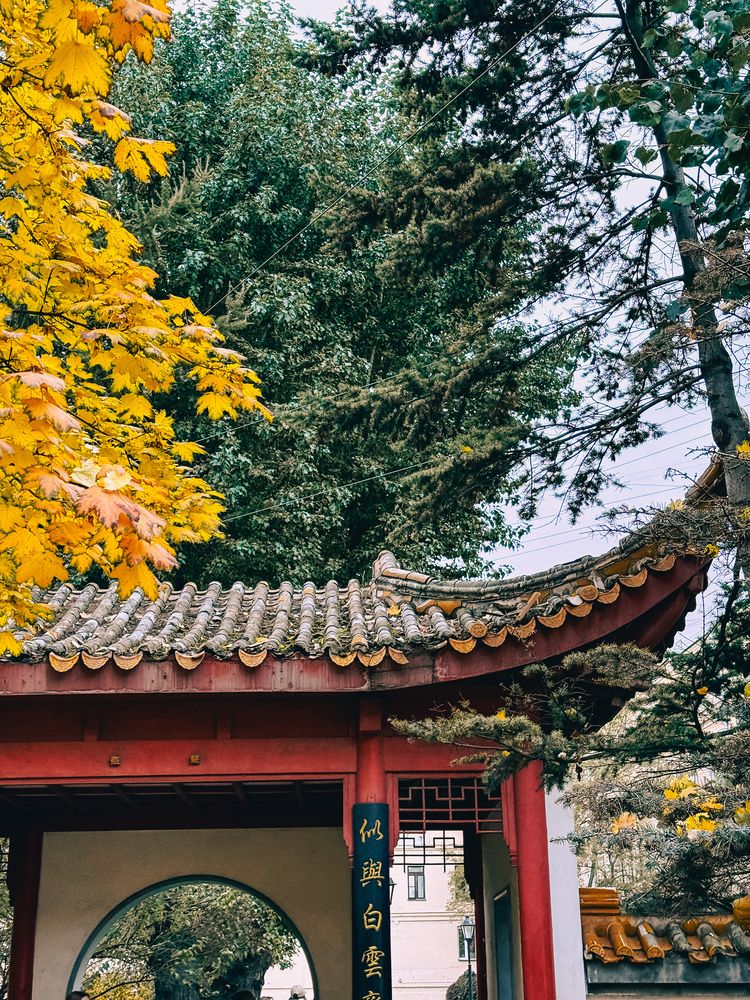 Фотография автора Екатерина