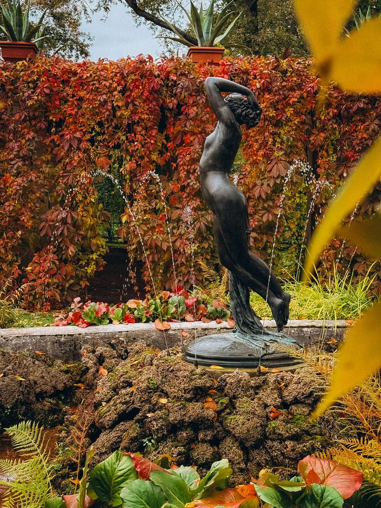 Фотография автора Екатерина