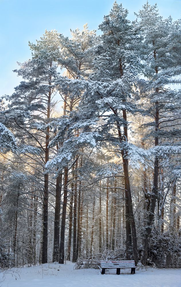 Фотография автора Irina Kruk