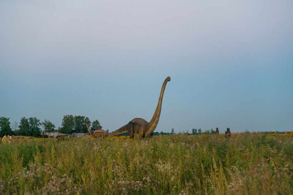 Photograph by Андрей Чуйков