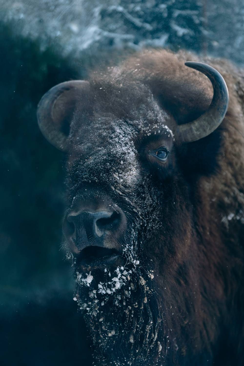 Фотография #13069861