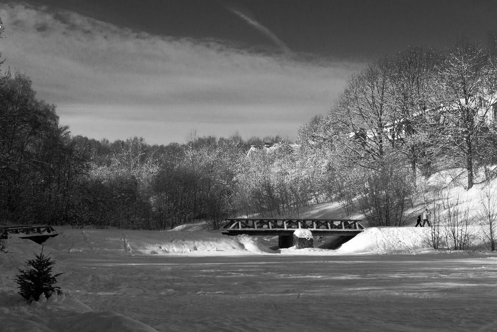 Photograph by Алексеев Сергей