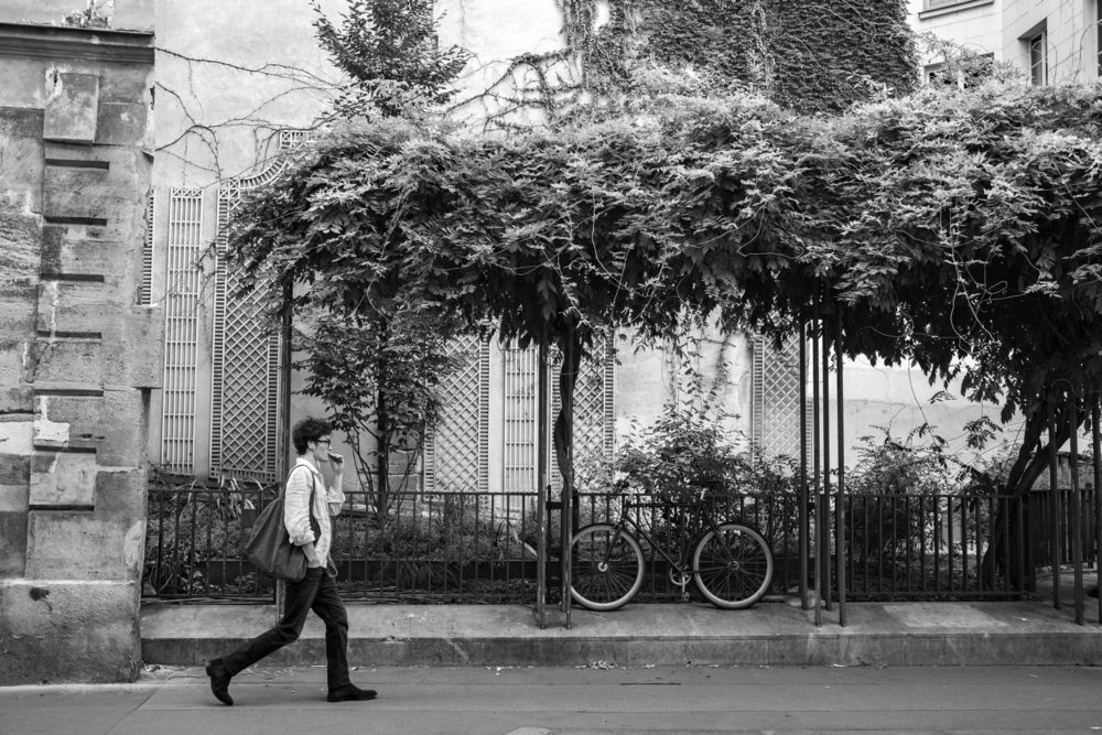 Photograph by Ismail Hassanaly