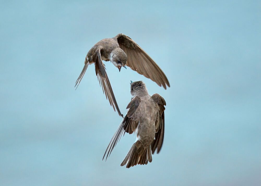 Photograph by Mikhail Khmelevskiy