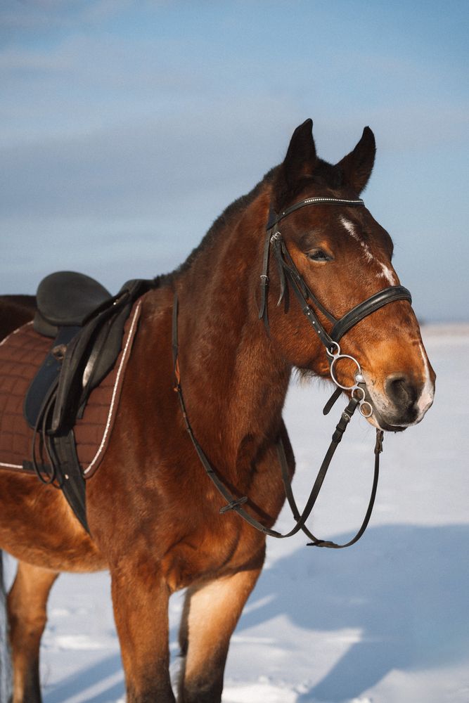 Photograph by Зверева Мария