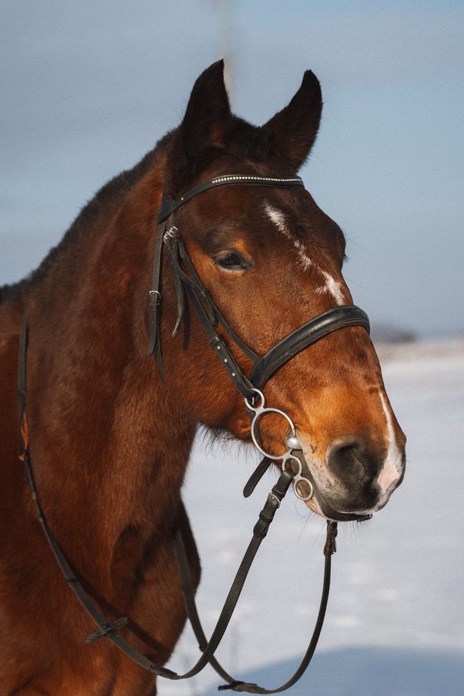 Photograph by Зверева Мария