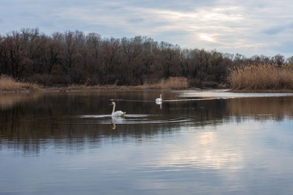Photograph by Наталия Уракина