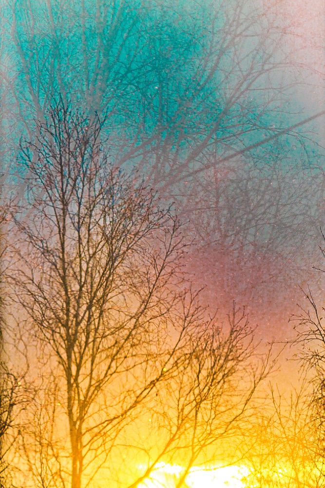 Photograph by Артём Александрович