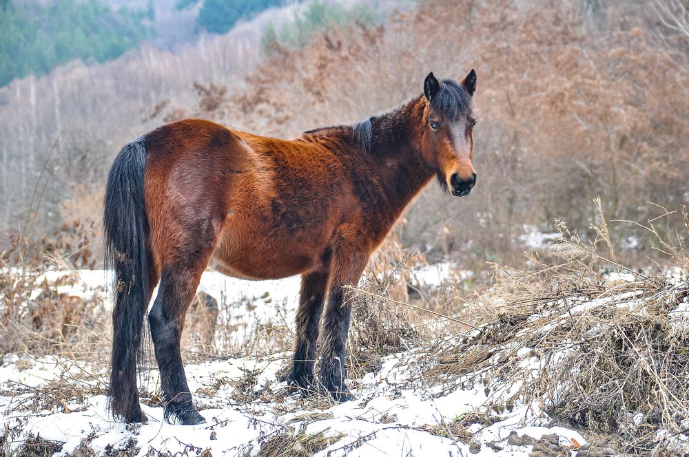 Фотография автора Dmitry
