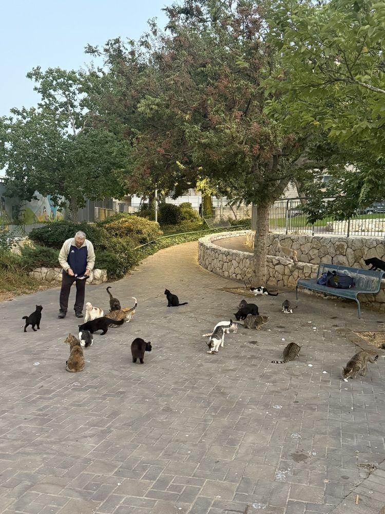 Фотография автора Olga Berlyand