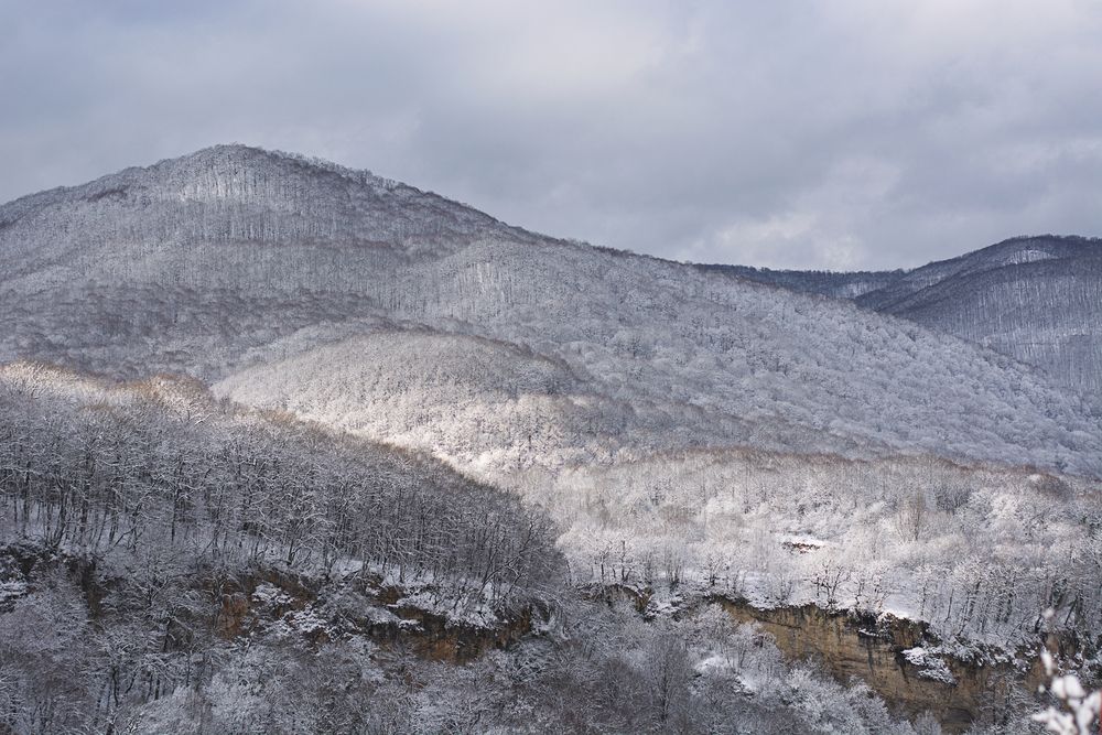 Photograph by Забудская Наталья