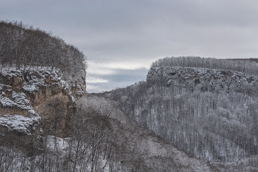 Photograph by Забудская Наталья