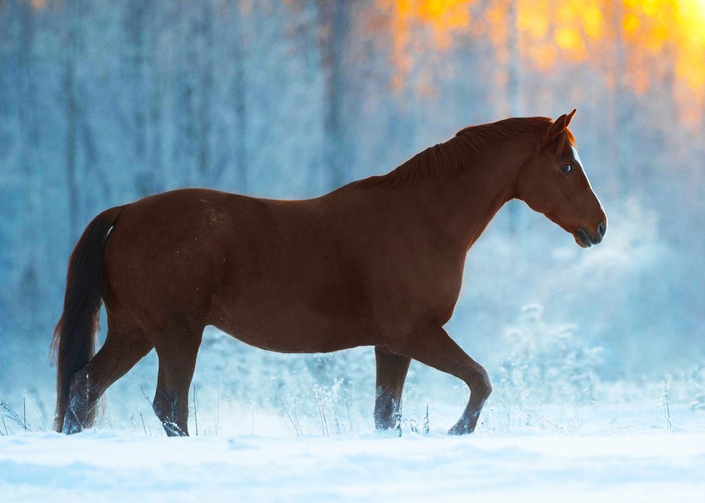 Фотография автора Helena
