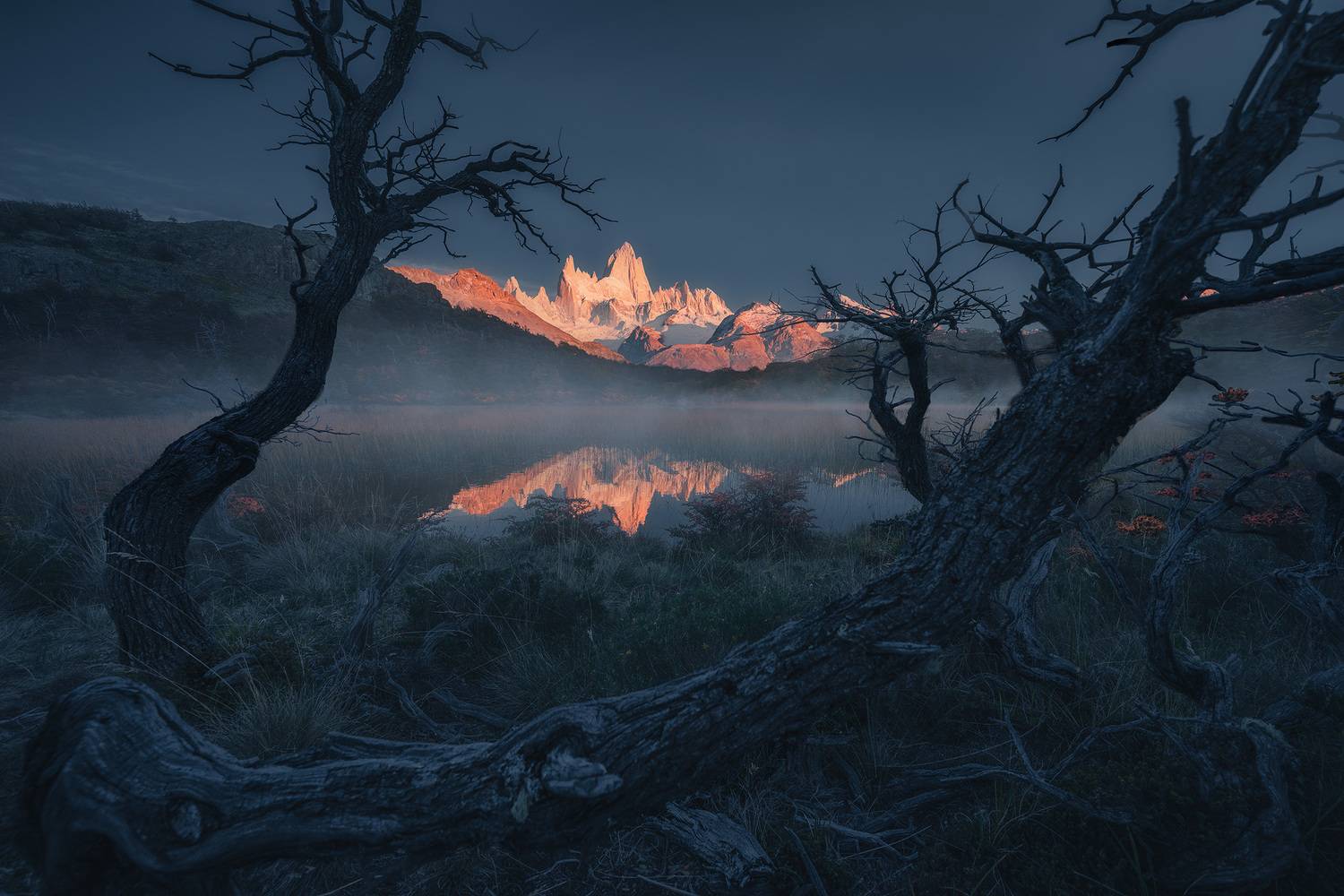 The Radiance of Silence