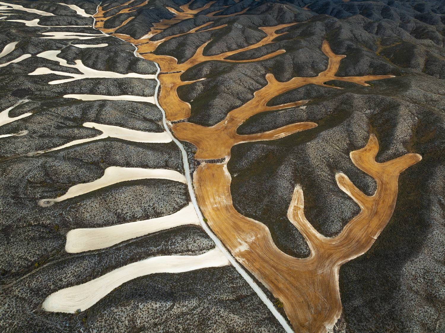 Bones of Earth