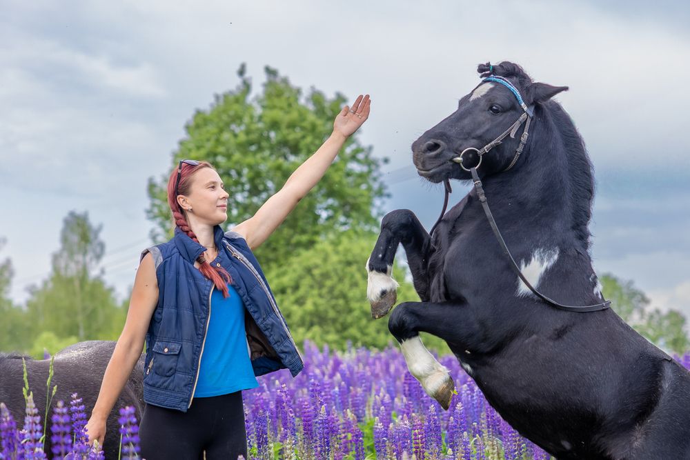 Photograph by Egor Ugrof