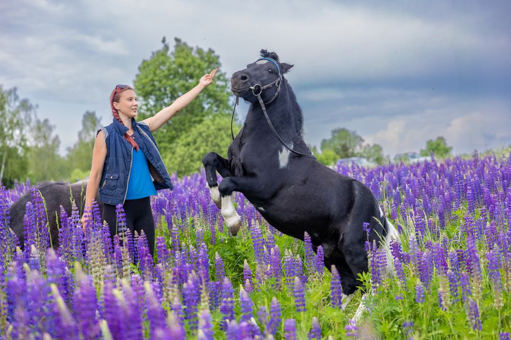 Photograph by Egor Ugrof