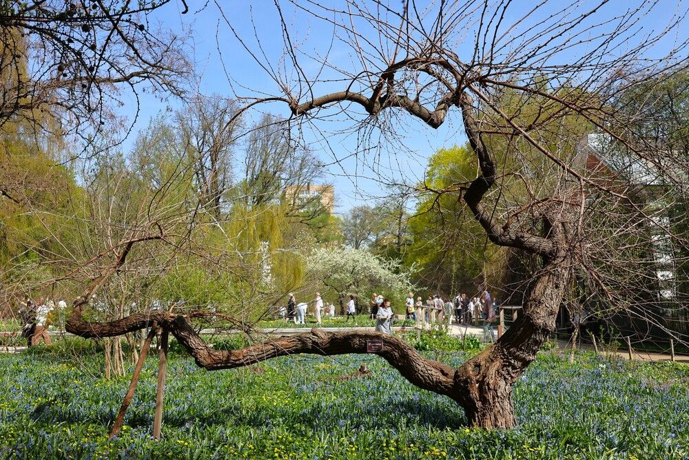 Photograph by Гагик Саркисян