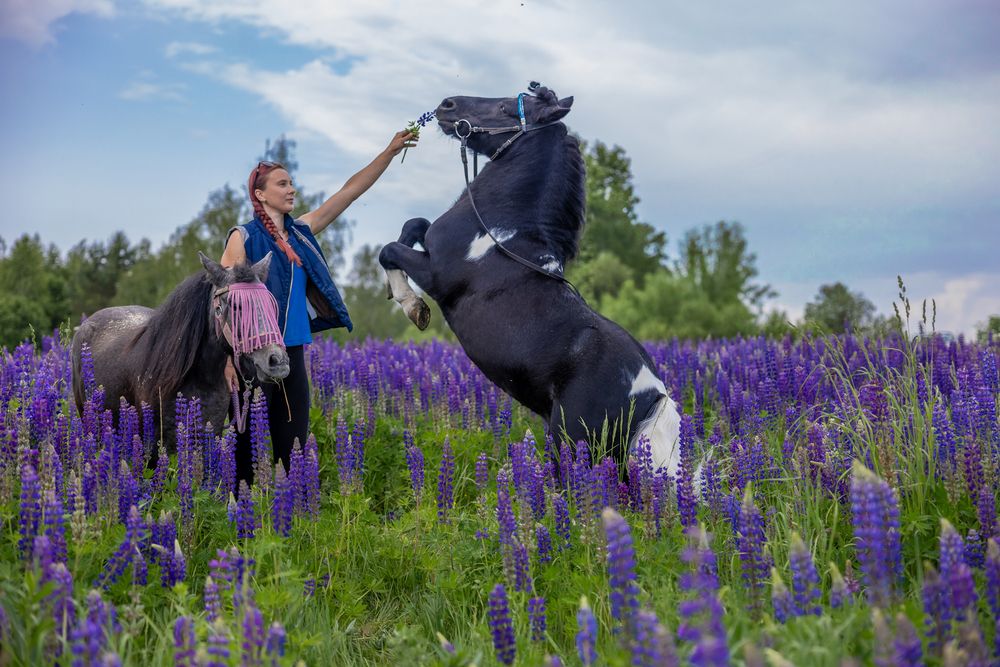 Photograph by Egor Ugrof